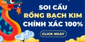 soi-cau-rong-bach-kim-3